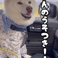 「嘘つき！！」