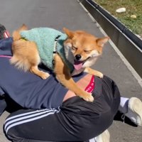 居心地がよさそうな姫ちゃん