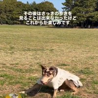 幸せそうな表情に…
