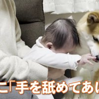 娘さんの手をペロペロ