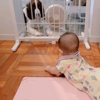 ププくんと娘さん4