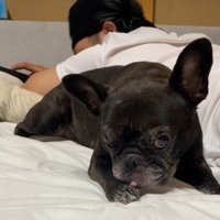 「クセになるかも…」