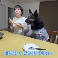 会話に参加してると思ったら…