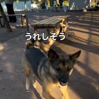 嬉しそうなカッパちゃん