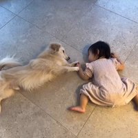 最近のこたつ君と赤ちゃん