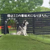 帰りたくないおこめくん
