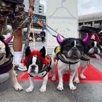 一緒にお出かけ