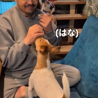 どんなコマンドも逃さずクリア！