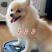 去っていくきなこちゃん