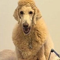 愛嬌たっぷりの笑顔♪