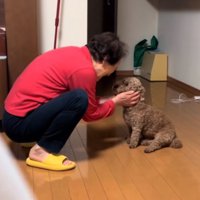 顔周りを撫でる