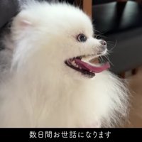 幸せな夏の思い出