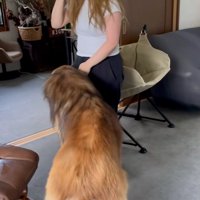 仲良しなふたり