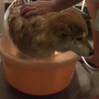 でもじっと耐えています！