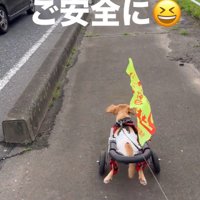 安全運転で一生懸命前進！
