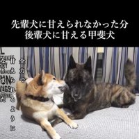 甘えん坊なハルヱちゃんの過去と現在⑩