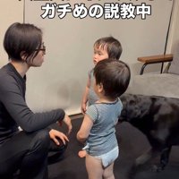 どんちゃんが来て…