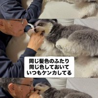 ニウちゃんとおじいちゃん4