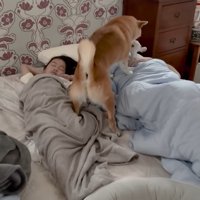 「朝だよ。起きて～！」