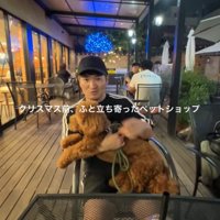 膝の上で過ごす犬2