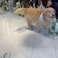 「この辺でいいかな？」