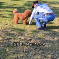 隙を見ておもちゃを隠したり…