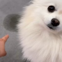 「どうしてここにしたの？」