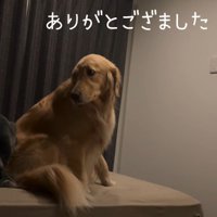 やっとのことでパパの隣にやっとのことでパパの隣に