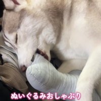 ぬいぐるみでおしゃぶり♡