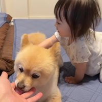 「わたしももっとナデナデする！」