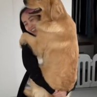 ちあちゃん＆ひまわりちゃんの成長6