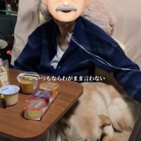隣でくつろぐ犬