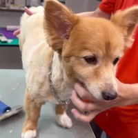 さっぱりキレイな体に！