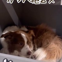 「私もお断り…」