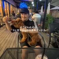 膝の上で遊ぶノアくん