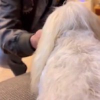 驚きの表情を浮かべていた