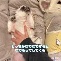 幸せなひとときだけど…