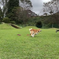 ママに着いていっちゃった！