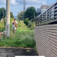 ぶん太くんとパパさんのお散歩2