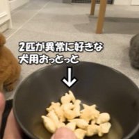 頑張ったご褒美