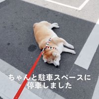 そこはきっちりと