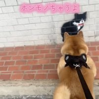 身を乗り出してクンクン