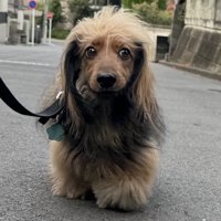 変幻自在