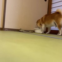 急に水を飲むことも