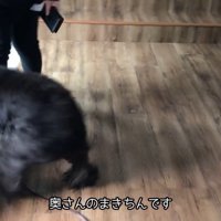 テンション高めでご挨拶♪