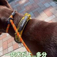 確認するよもぎくん