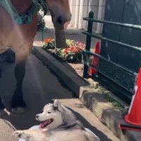 ふたりの友情に涙…