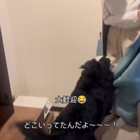 カーテン裏から出てくる女性