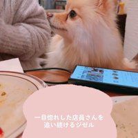 完全にロックオン！