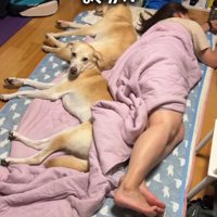 2匹ともママさんのお布団にいます！